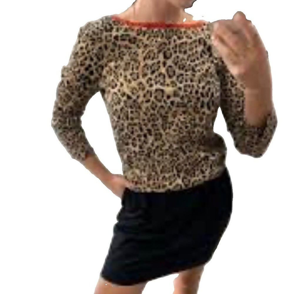 Atos Lombardini  Animal Print Knee Dress  Long Sleeve Sz 40 Mix Material